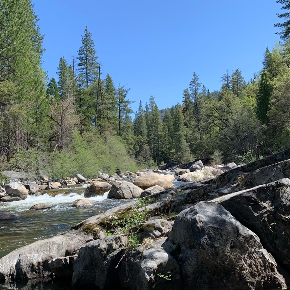 Meet your Posher, Liz - Picture 1 of 1